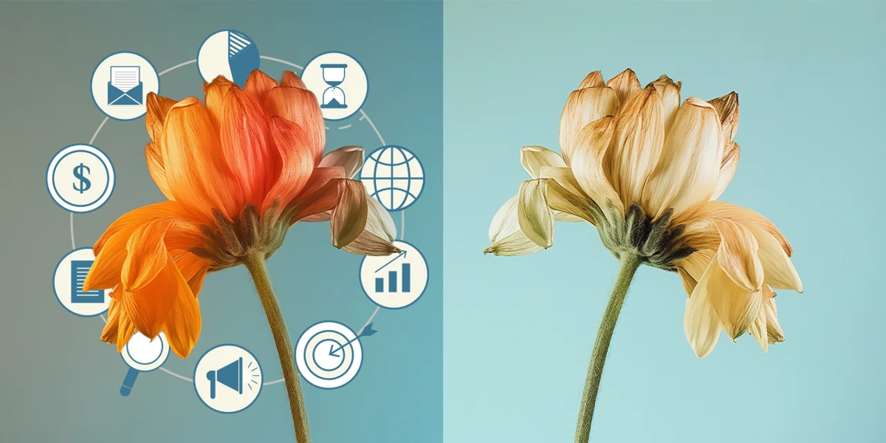 A fizetett hirdetések szerepe 2025-ben